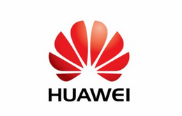 Logo Partner